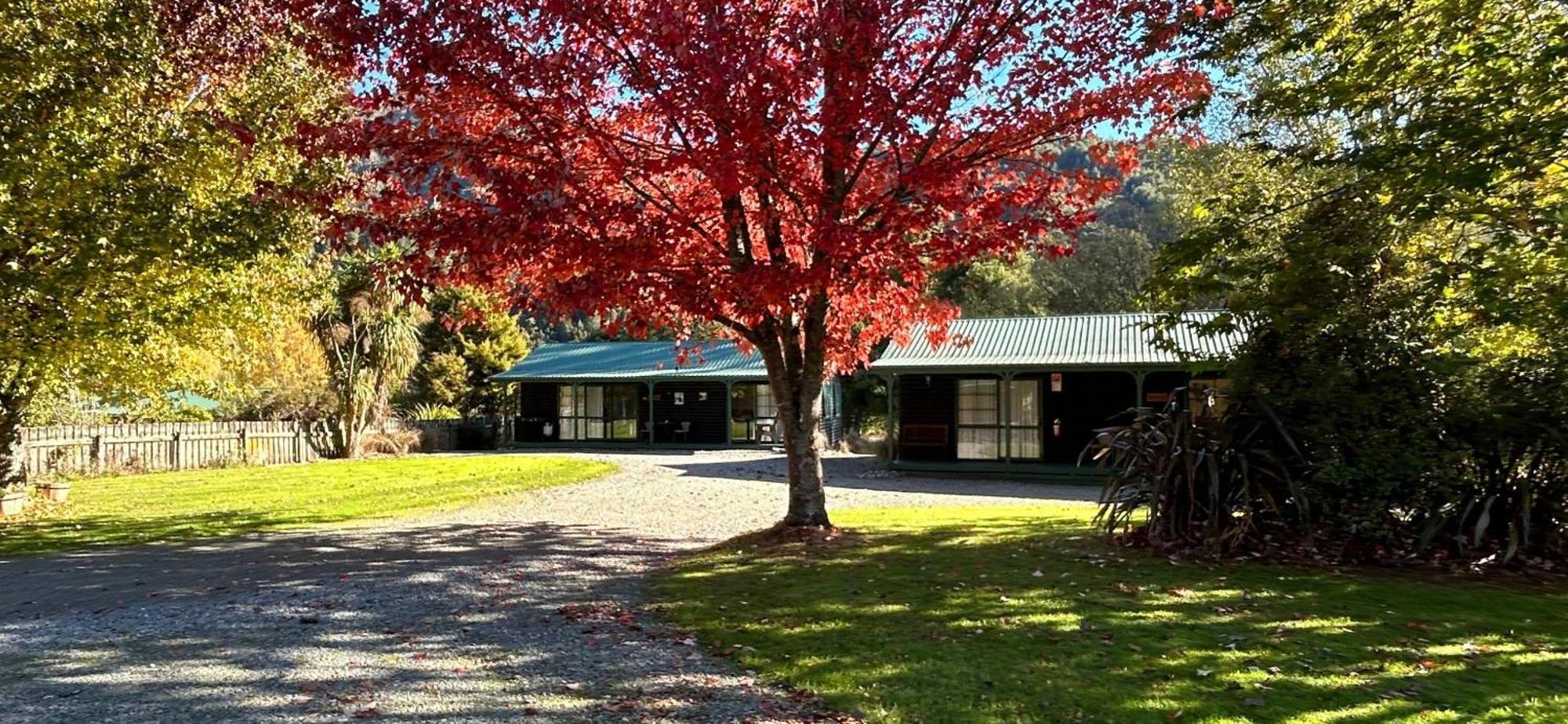 Kiwi Park Motels Murchison Exteriör bild